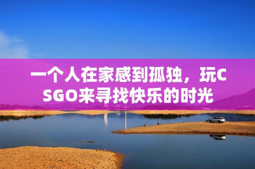 一个人在家感到孤独，玩CSGO来寻找快乐的时光