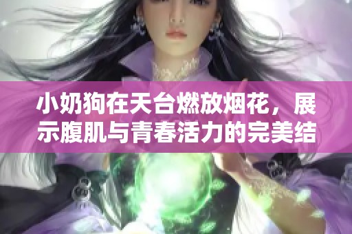 小奶狗在天台燃放烟花，展示腹肌与青春活力的完美结合