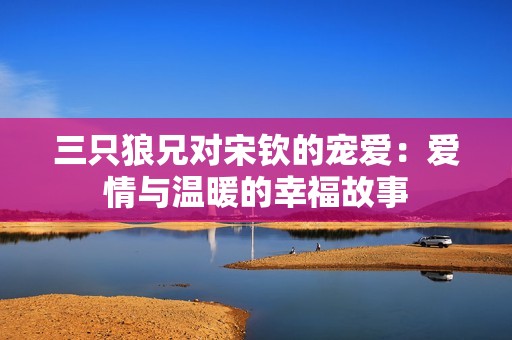 三只狼兄对宋钦的宠爱：爱情与温暖的幸福故事