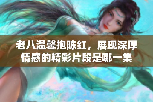 老八温馨抱陈红，展现深厚情感的精彩片段是哪一集