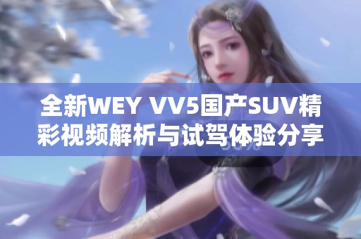 全新WEY VV5国产SUV精彩视频解析与试驾体验分享