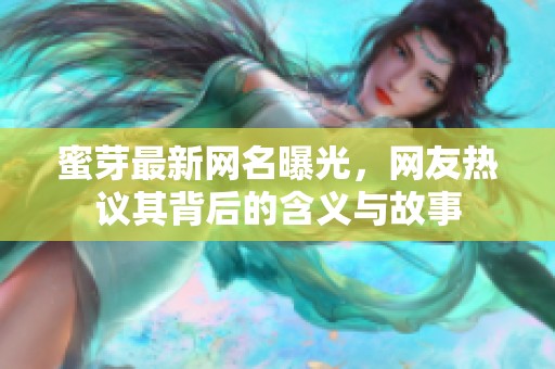 蜜芽最新网名曝光，网友热议其背后的含义与故事