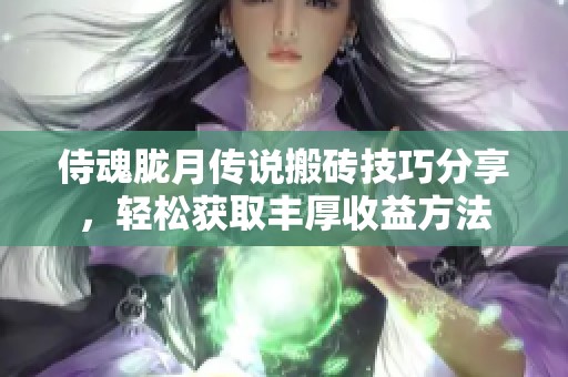 侍魂胧月传说搬砖技巧分享，轻松获取丰厚收益方法