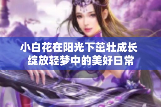 小白花在阳光下茁壮成长 绽放轻梦中的美好日常