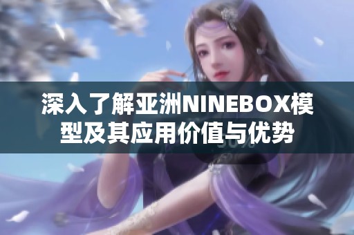 深入了解亚洲NINEBOX模型及其应用价值与优势