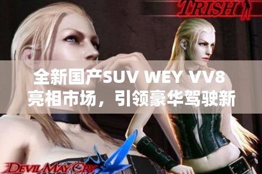 全新国产SUV WEY VV8 亮相市场，引领豪华驾驶新体验