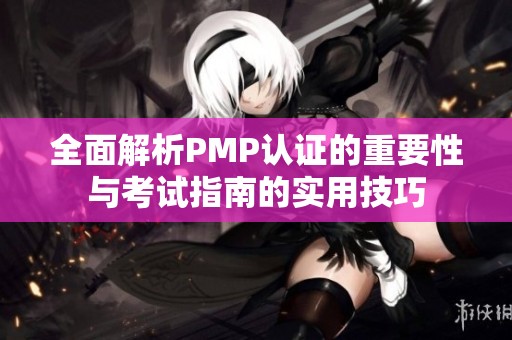 全面解析PMP认证的重要性与考试指南的实用技巧