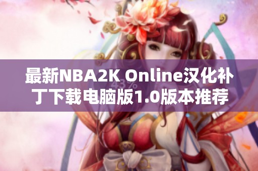 最新NBA2K Online汉化补丁下载电脑版1.0版本推荐