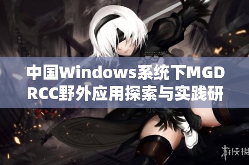 中国Windows系统下MGDRCC野外应用探索与实践研究