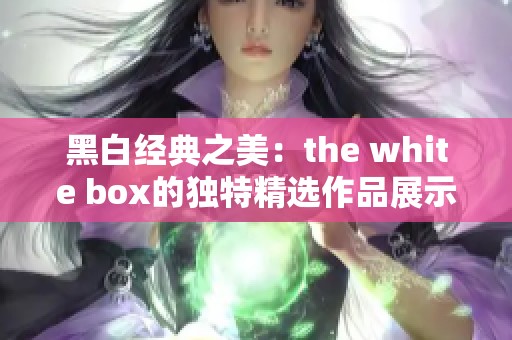 黑白经典之美：the white box的独特精选作品展示