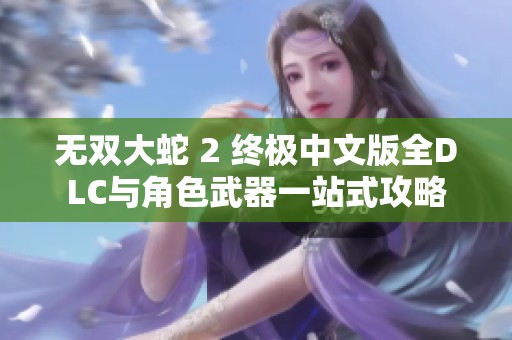 无双大蛇 2 终极中文版全DLC与角色武器一站式攻略