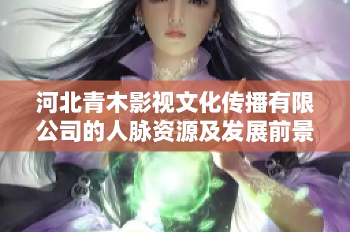 河北青木影视文化传播有限公司的人脉资源及发展前景分析