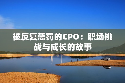 被反复惩罚的CPO：职场挑战与成长的故事